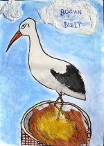 Šteinerová K., Zahoranská K..jpg